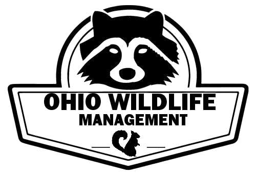 Avatar for Ohio Wildlife Management LLC