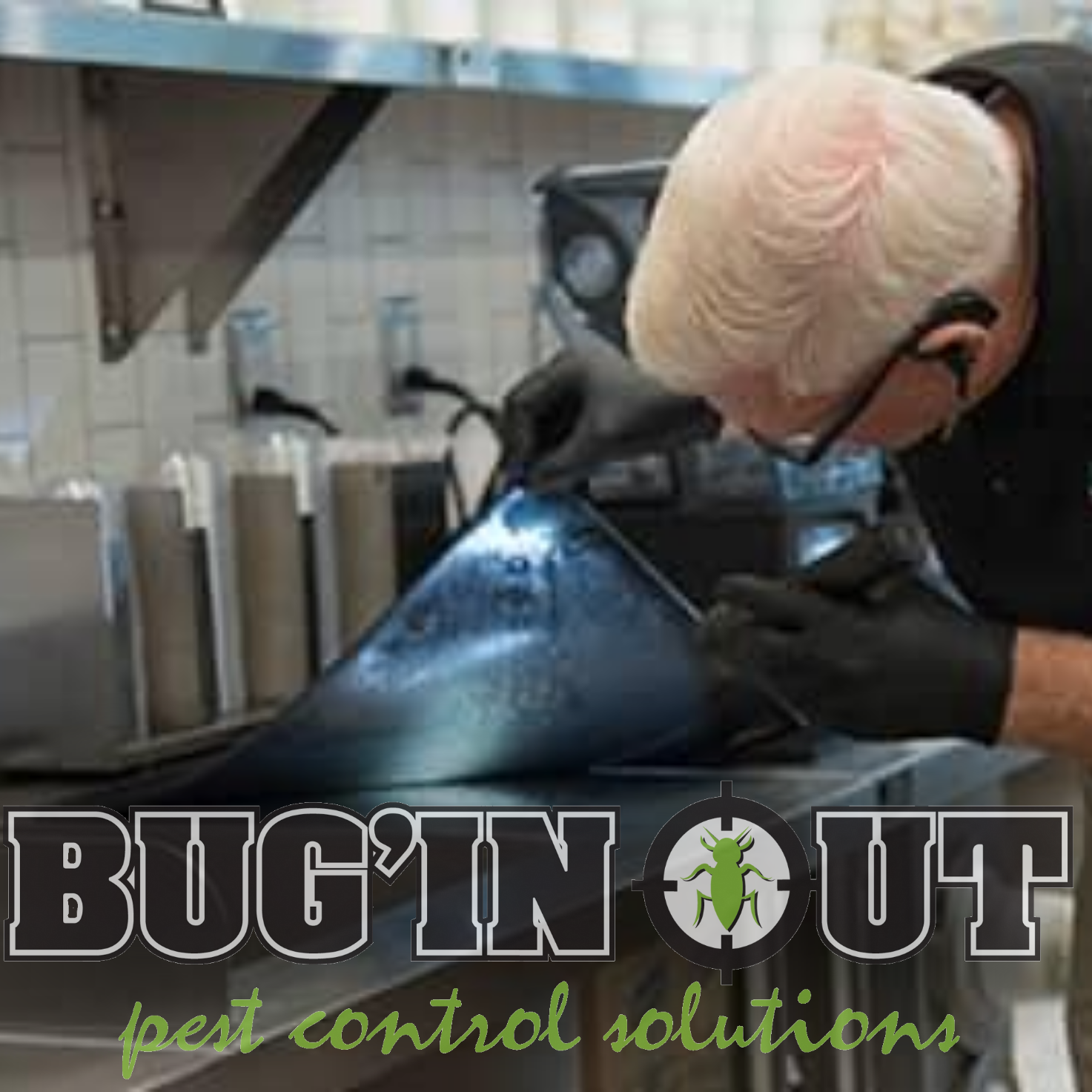 Avatar for Bug'N Out Pest Control Solutions