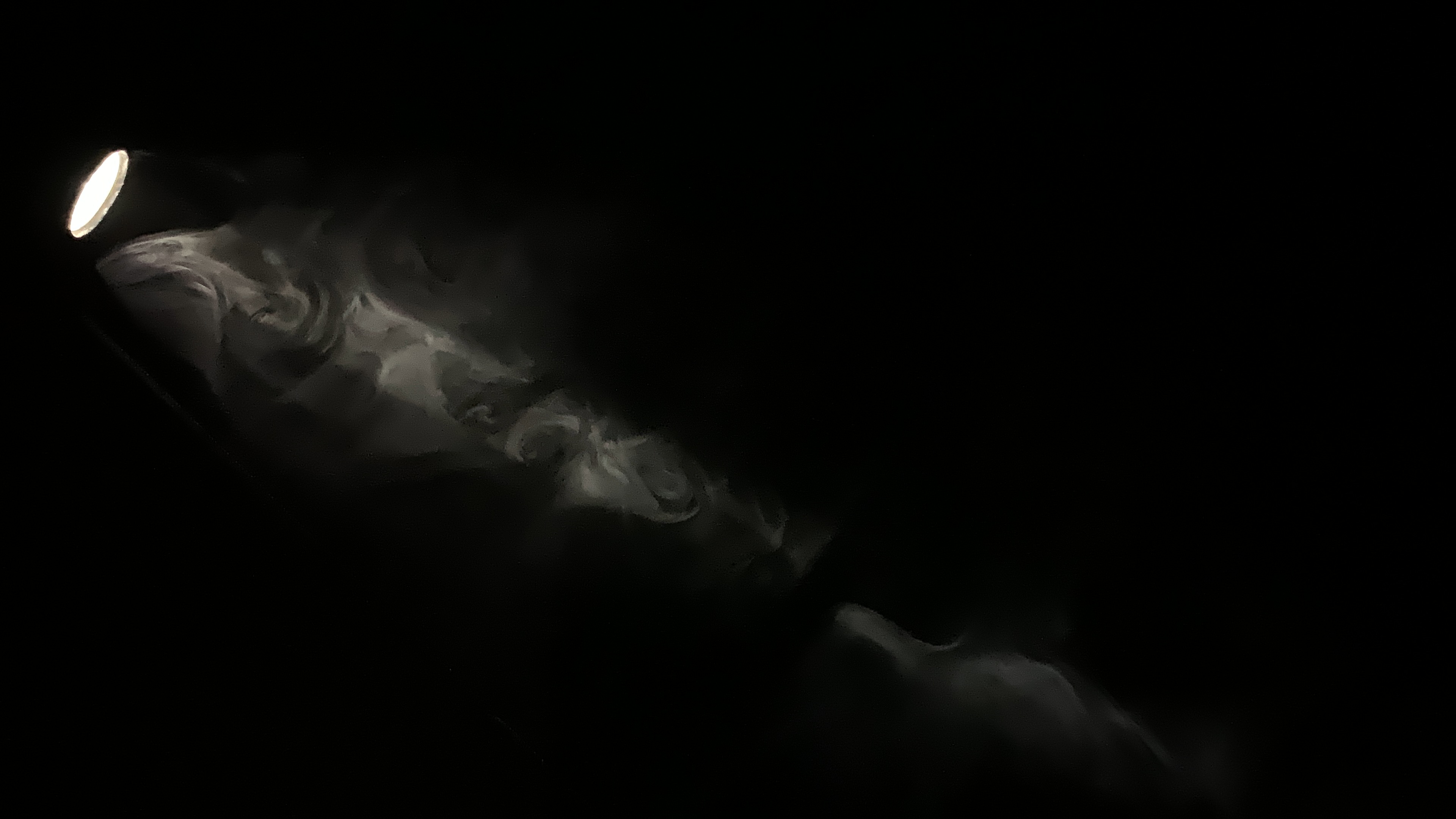 Avatar for In your dreams