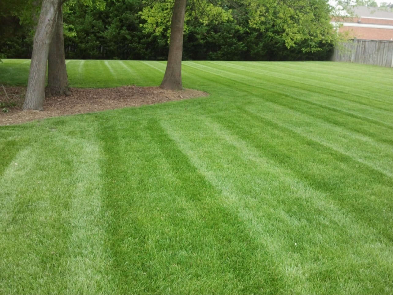 Avatar for Litchfield Hills Property Enhancement 