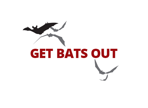 Avatar for Get Bats Out Brandon