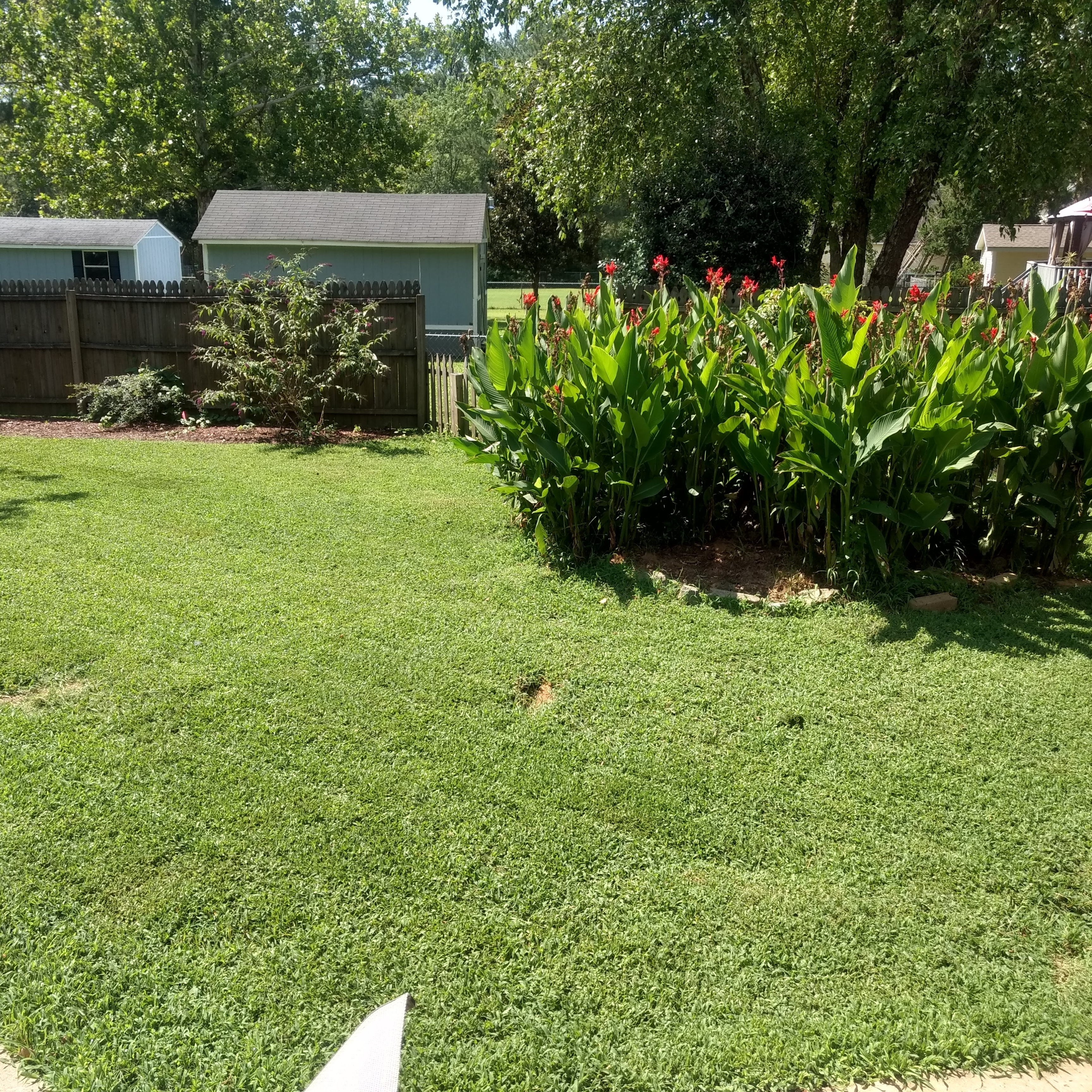 Avatar for Green-Cuts