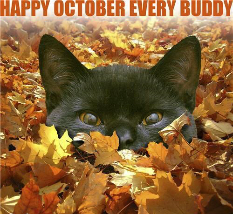 Avatar for 1409 Wilson Ave