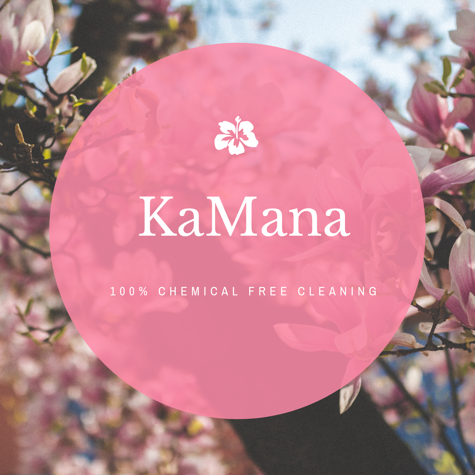 Avatar for KaMana Cleaning