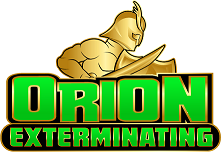 Avatar for Orion Exterminating