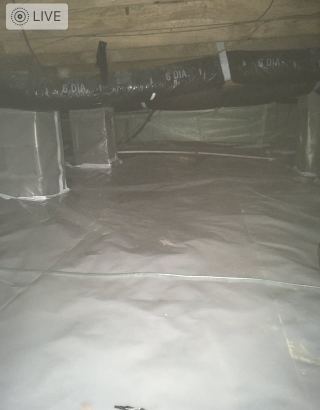 Avatar for Cardinal state home solutions 