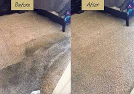 Avatar for Carpet Beautifier