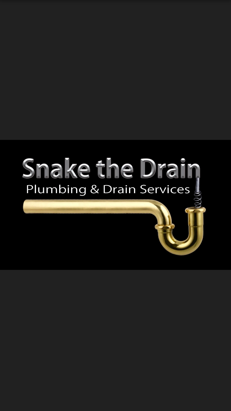 Avatar for Snake The Drain