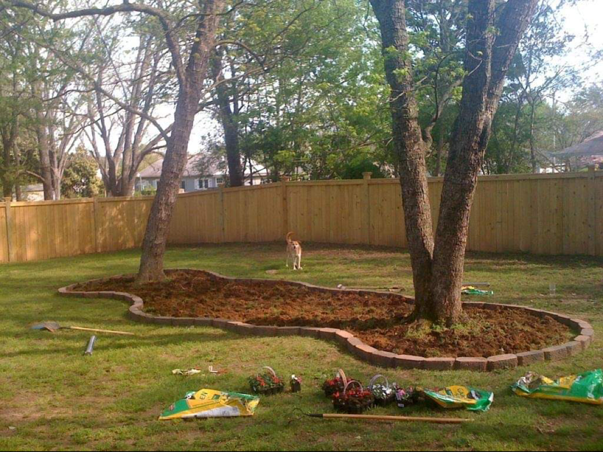 Avatar for Shelton Construction