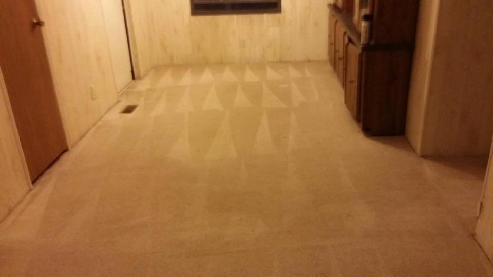 Premier Carpet Cleaning and Restoration logo
