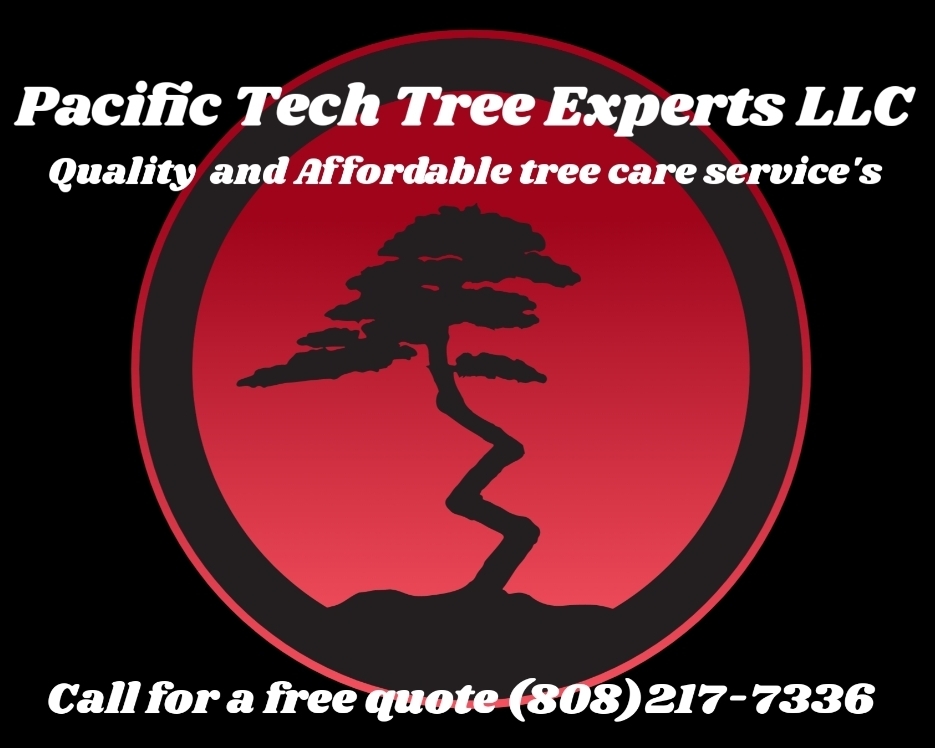 Avatar for Pacific Tech Tree Experts LLC