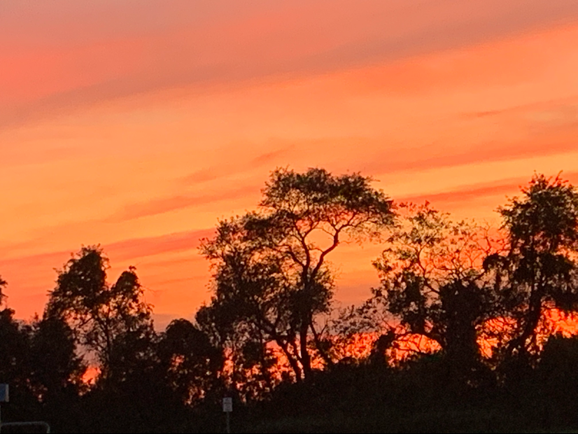 Avatar for South Jersey Pressure Washing  