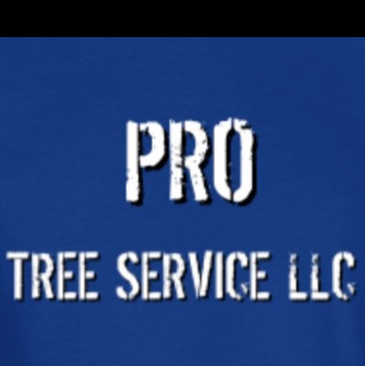 Avatar for Pro Tree Service LLC.