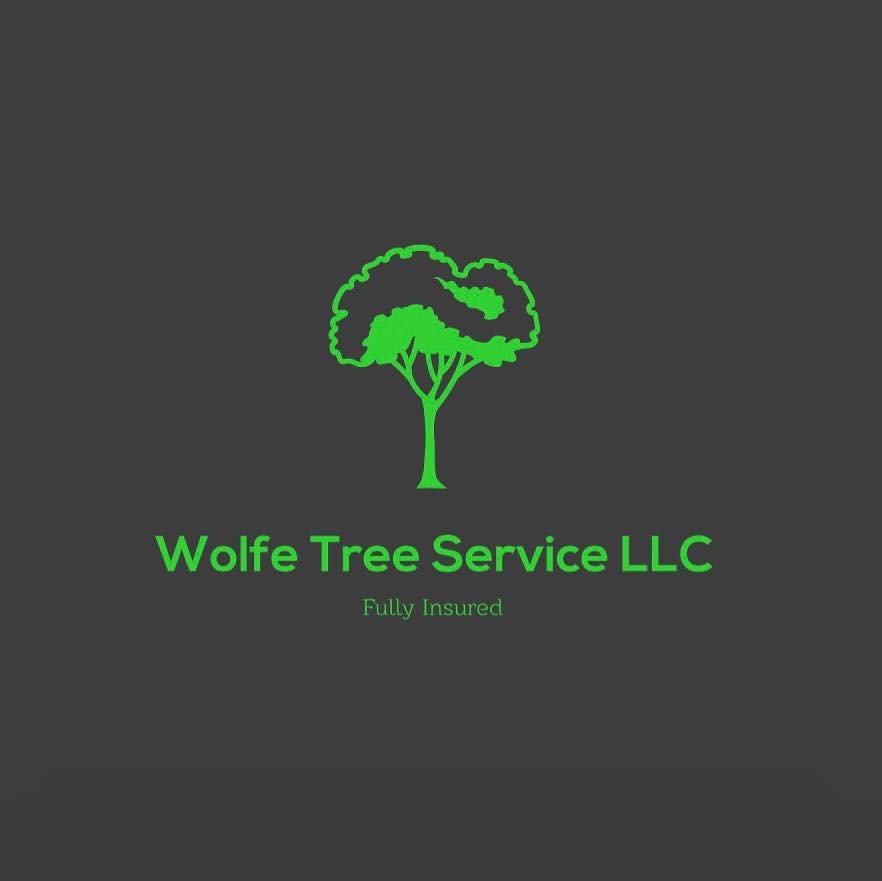 Avatar for Wolfe Tree Services LLC