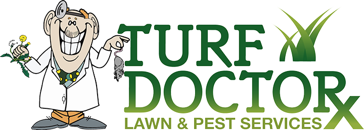 TURF DOCTOR logo
