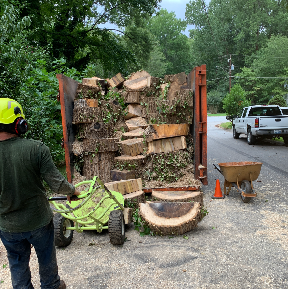 Avatar for Tree Trimming and Removal 