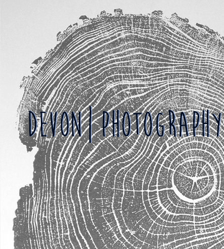 Logo for Devon Photography