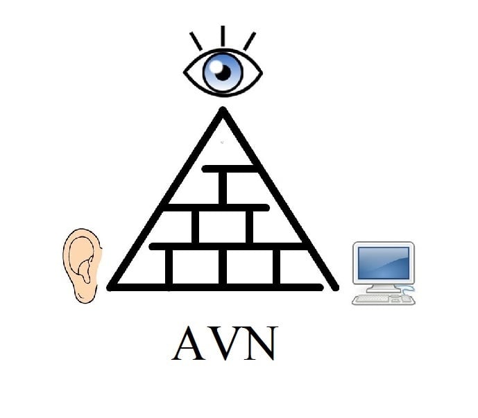 AVN logo