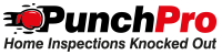 Avatar for Punch Pro