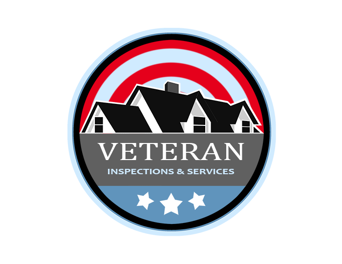 Avatar for Veteran Inspections and Services