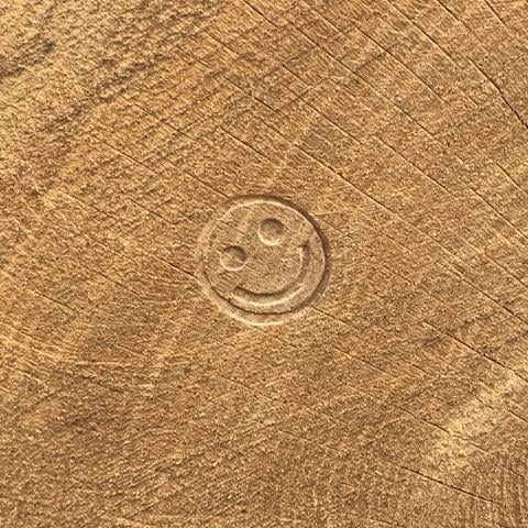 Avatar for DC JR Veneer & Timber Co.