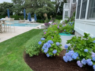 Avatar for Murtagh Construction and Landscaping