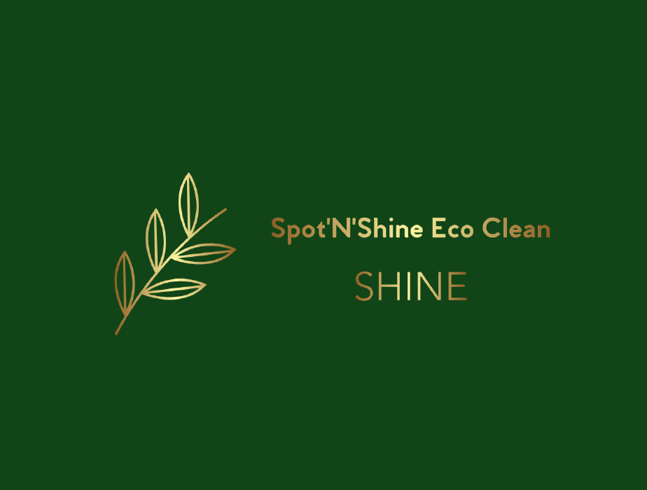 Avatar for Spot'N'Shine Eco Clean, LLC