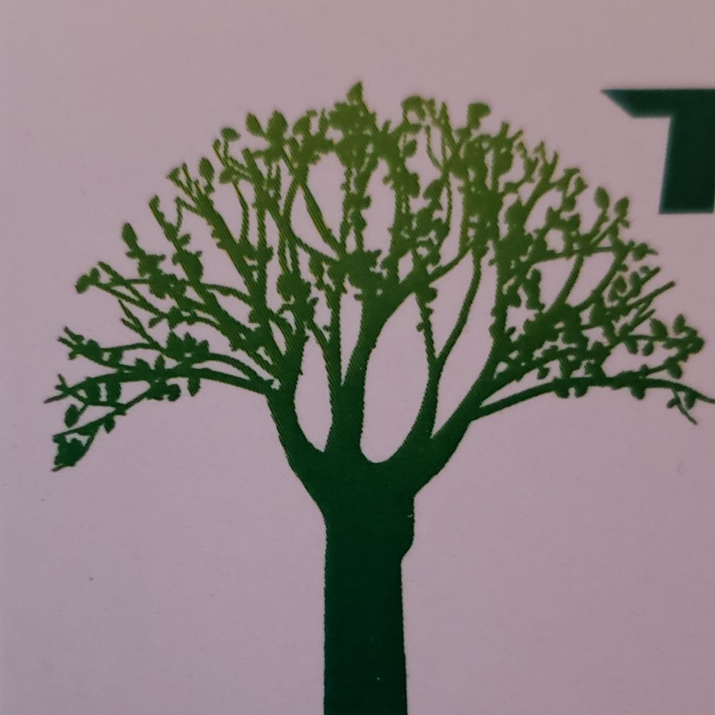 Avatar for Tello's Tree Service LLC