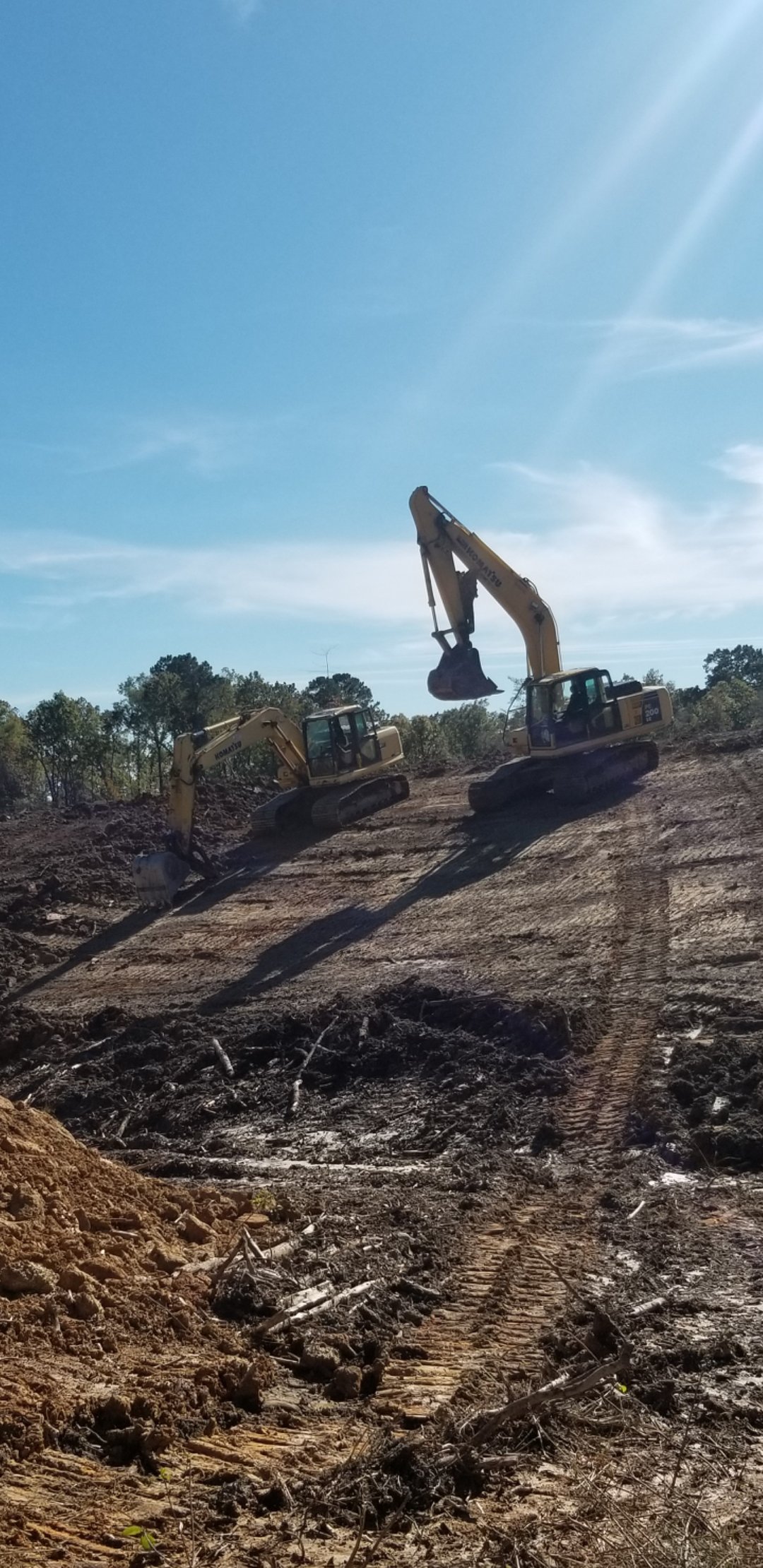 Avatar for LLB FARMS LLC