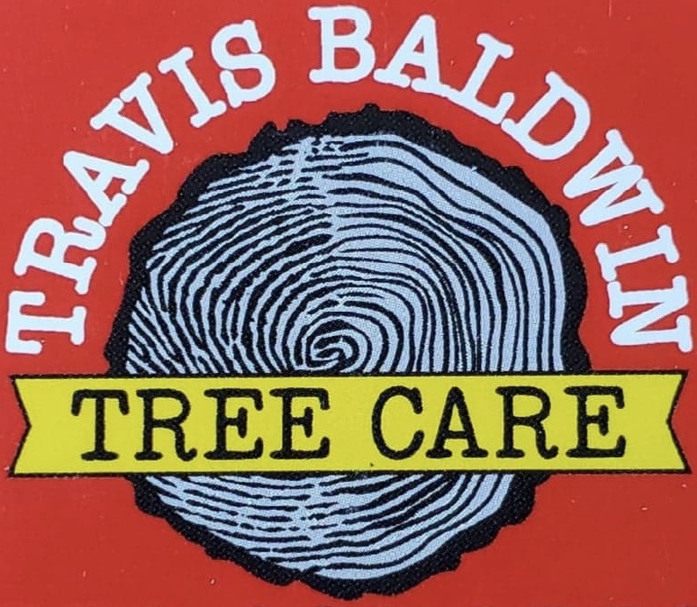 Avatar for Travis Baldwin Tree Care