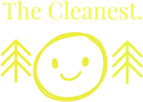 Avatar for The Cleanest