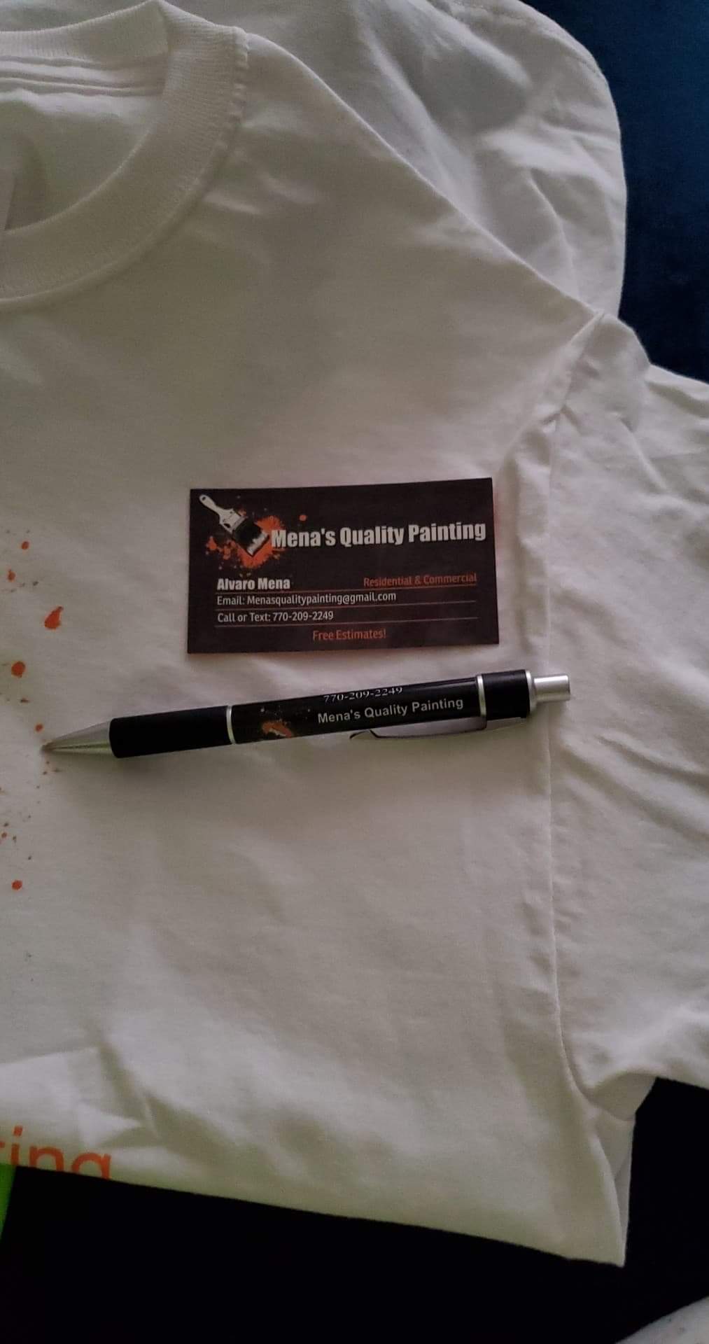 Avatar for Mena's Quality Painting 