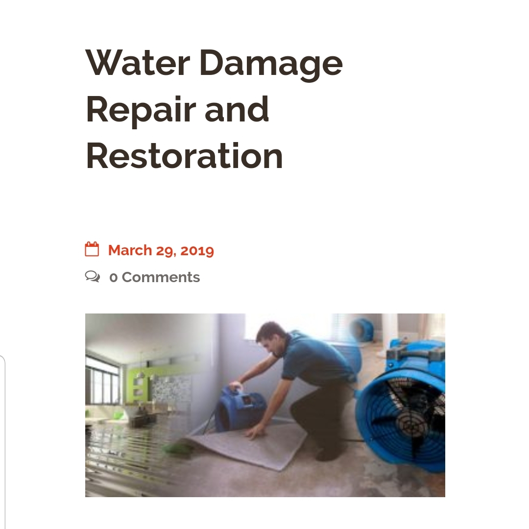 Avatar for Absolute Restoration LLC