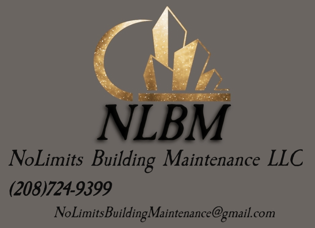 Avatar for No Limits Building Maintenance