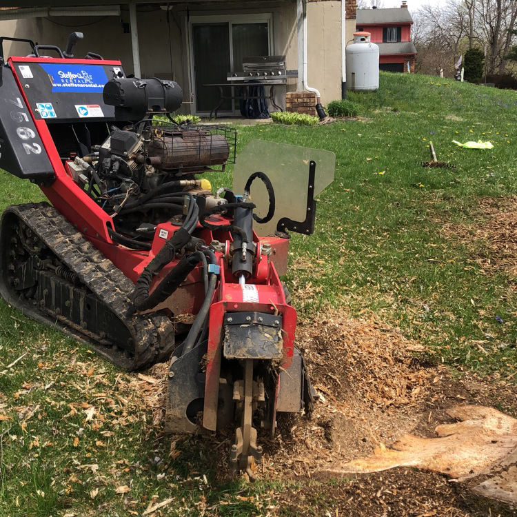 Dylan's Stump Removal logo