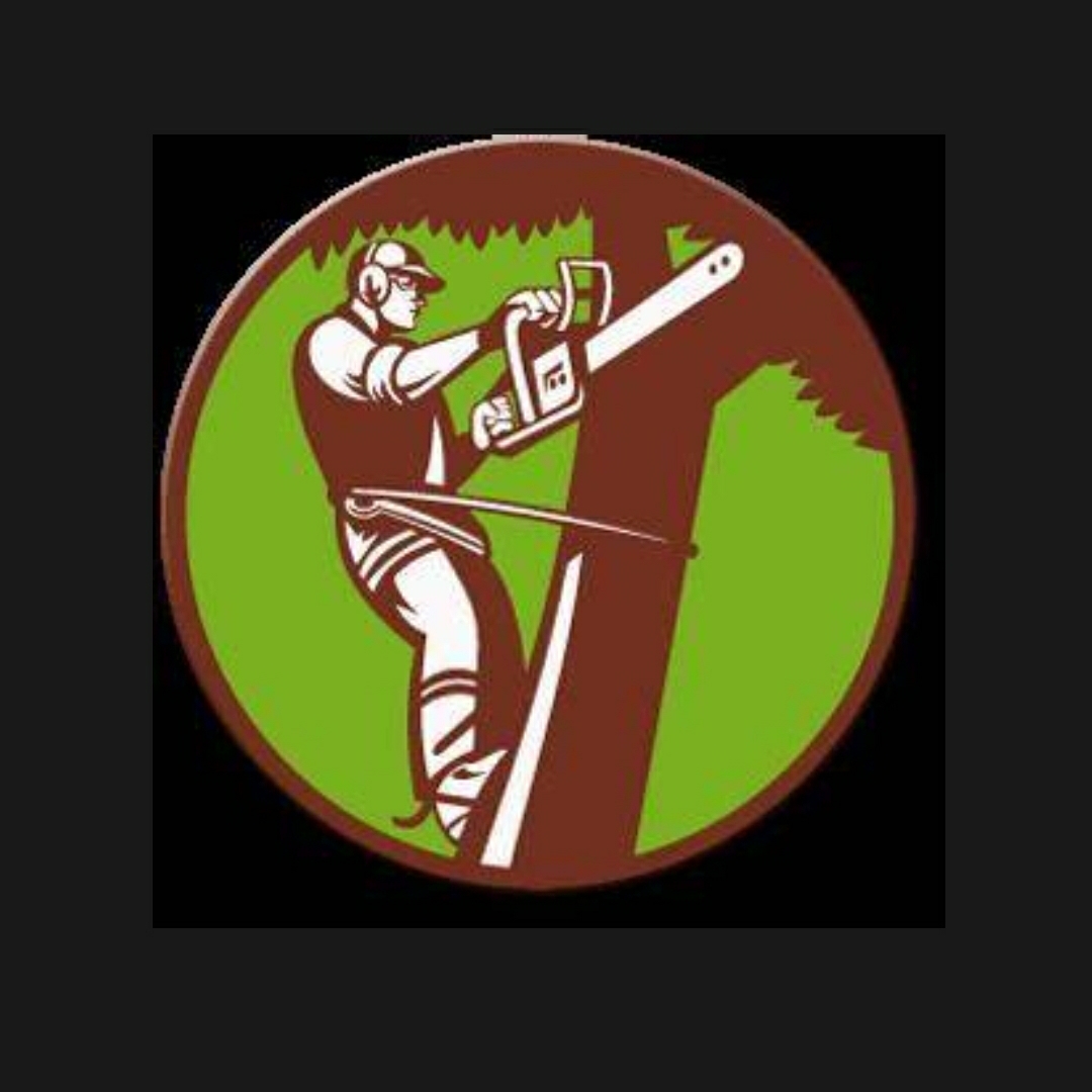 H&M Tree Service LLC Reviews Chanhassen, MN Angi