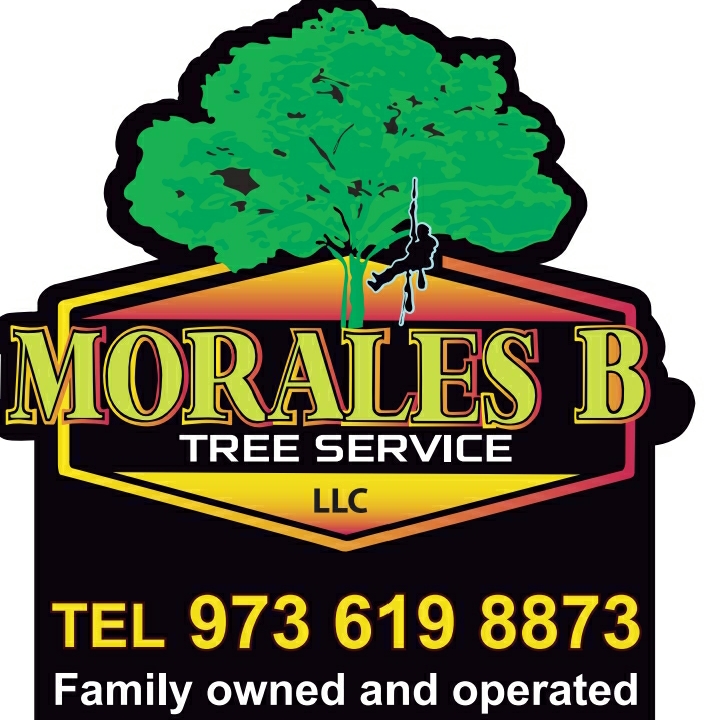 Logo for Morales Brothers Tree Service