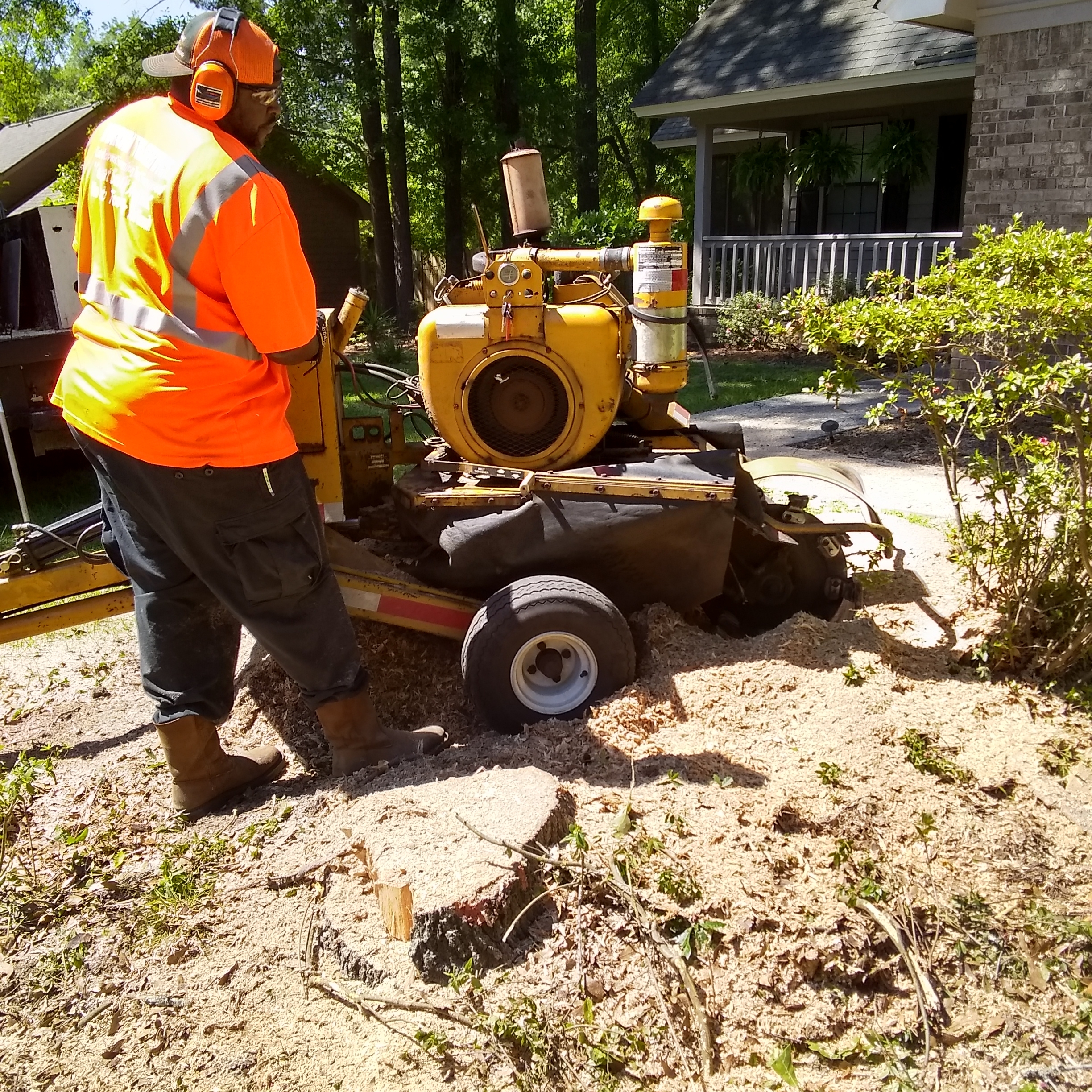 Tree Removal Roswell, GA - Certified Arborist Alpharetta 706-928-6471