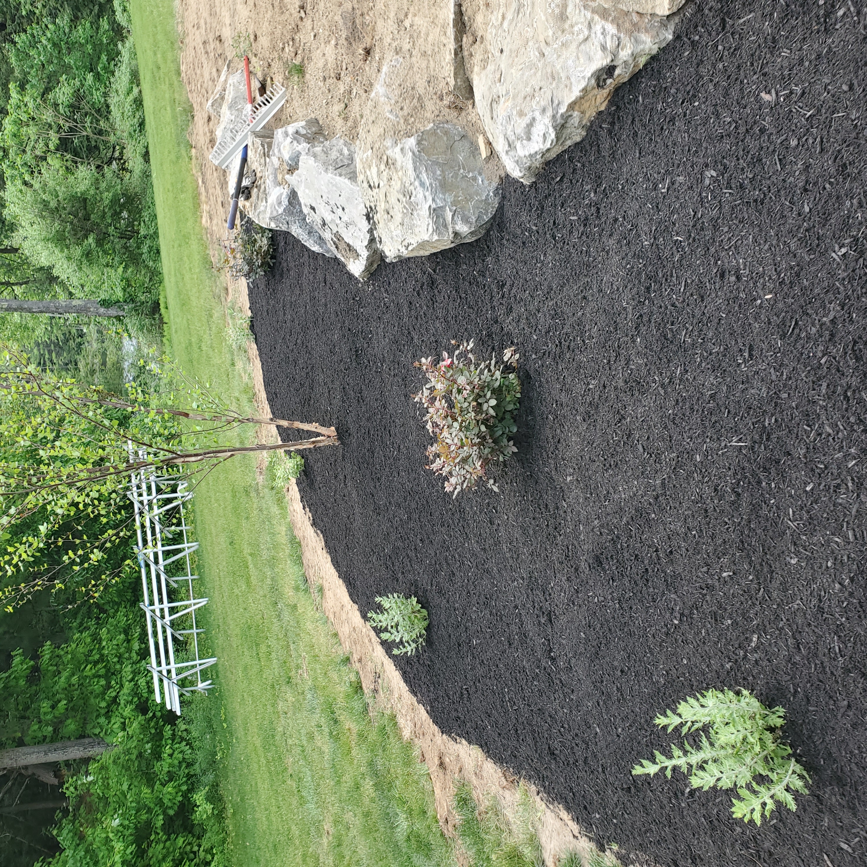 Avatar for American Landscape